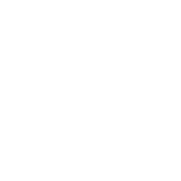 Network-4